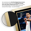 Dominic Solanke Tottenham Hotspur F.C. Poster Print – Signed Autograph Style Football Wall Art  – Framed or Unframed – Gift for Fans