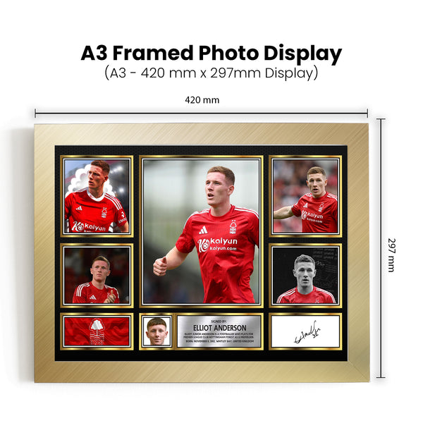 Elliot Anderson Printed Signature Football Poster Print – Reproduction Print