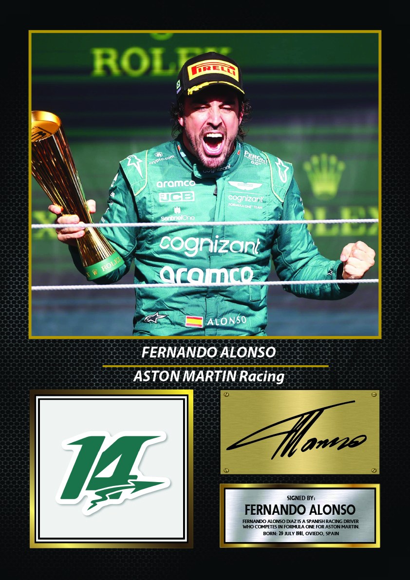 Fernando Alonso Racing Driver Printed Signature Print – fernando Alonso printed signature poster
