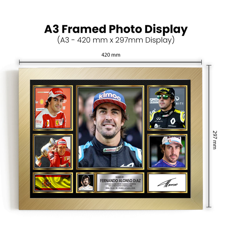 Fernando Alonso F1 Driver Limited Edition Signed Gift Poster Print Artwork Display