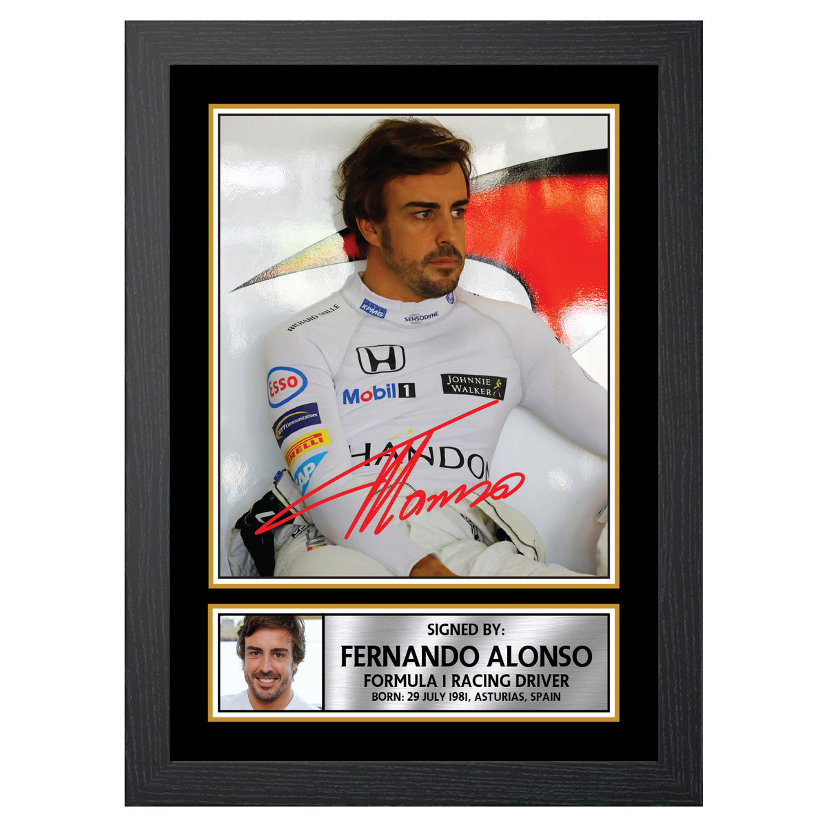 Fernando Alonso M500 Motor Racer Printed Signature Poster Print Gift
