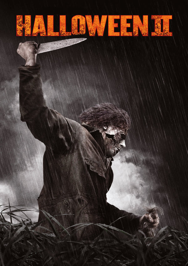 Halloween II 2009 Poster Print