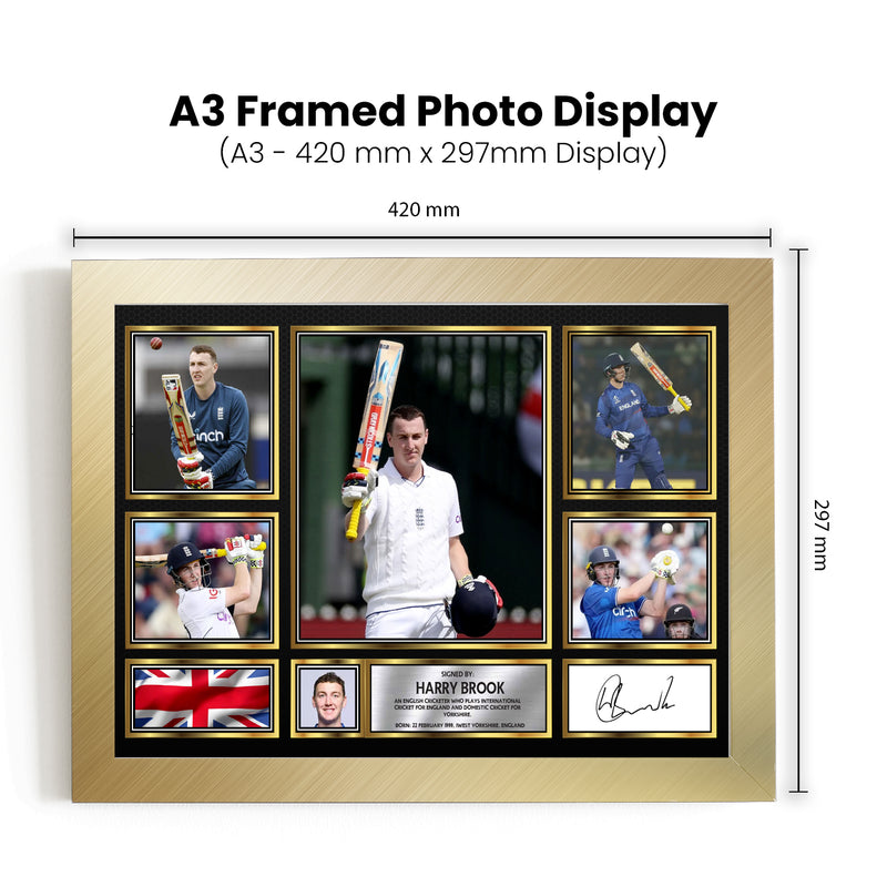 Harry Brook - Signed Autographed Cricket Star Print