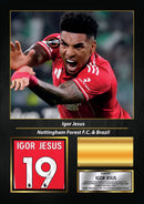 Igor Jesus Signed Football Memorabilia – Framed Autograph Display with Nottingham Forest & Brazil Tribute – Collector’s Gift for Fans
