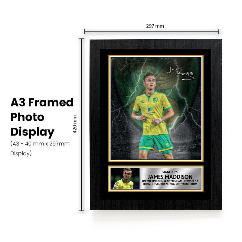 James Maddison Norwich City & Tottenham Hotspur Signed Autographed Portrait Poster Print – Football Memorabilia Wall Art for Fans & Collectors