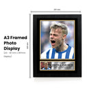 Jan Paul van Hecke Signed Autographed Poster Print – Brighton & Hove Albion FC & Netherlands Football Memorabilia – Gift for Fans & Collectors