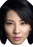 Jing Lusi Celebrity Face Mask Fancy Dress Cardboard Costume Mask