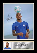 Joao Pedro Signed Poster Print – Chelsea F.C. Forward Football Memorabilia – Wall Art Tribute for Fans & Collectors