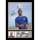 Joao Pedro Signed Poster Print – Chelsea F.C. Forward Football Memorabilia – Wall Art Tribute for Fans & Collectors
