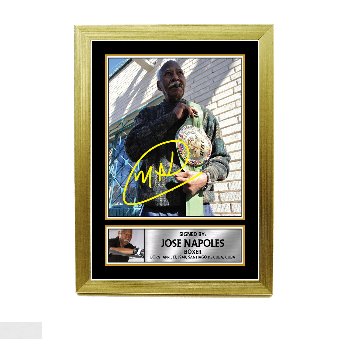 Jos NÂ poles M732 Boxing Printed Signature Poster Print Gift