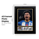 Kaoru Mitoma Signed Autographed Portrait Poster Print – Japan & Brighton & Hove Albion F.C. – Football Memorabilia Gift for Fans & Collectors