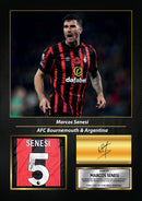 Marcos Senesi Signed Football Memorabilia – Framed Autograph Display with Bournemouth & Argentina Tribute – Collector’s Gift