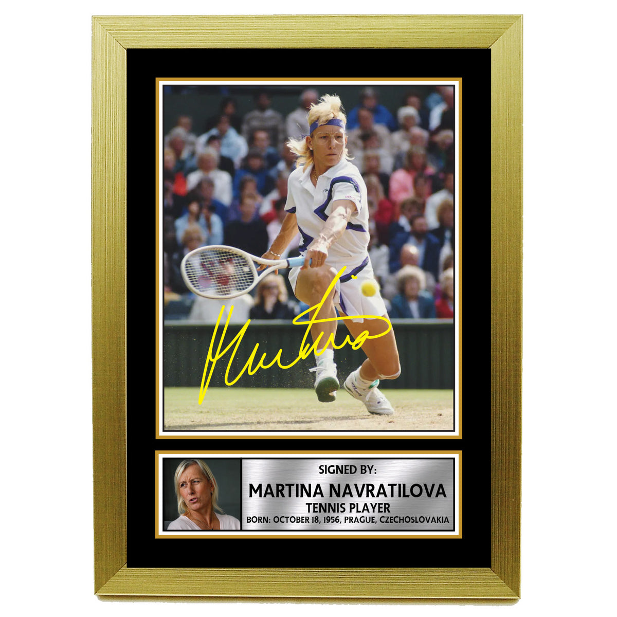 Martina Hingis M606 Tennis Player Printed Signature Poster Print Gift