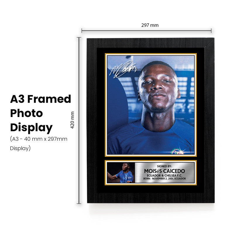 Moisés Caicedo Signed Autographed Portrait Poster Print – Chelsea F.C. & Ecuador Midfielder – Football Memorabilia Wall Art