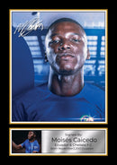 Moisés Caicedo Signed Autographed Portrait Poster Print – Chelsea F.C. & Ecuador Midfielder – Football Memorabilia Wall Art