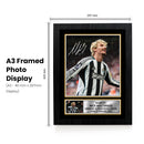 Nick Woltemade Printed Autograph Poster – Germany & Newcastle United Football Star Wall Art – Soccer Player Memorabilia Poster Print