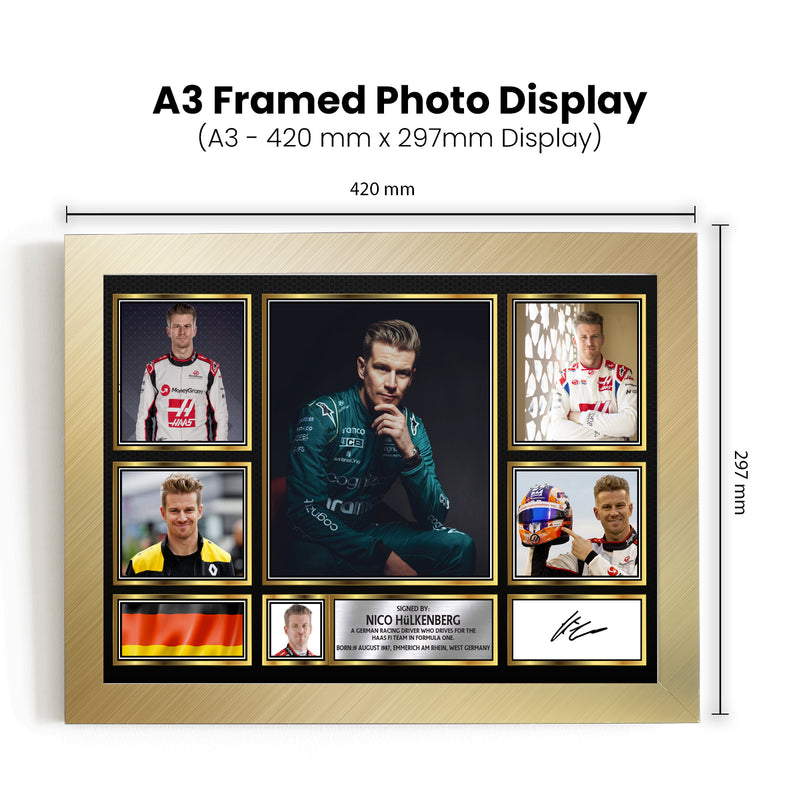 Nico Hülkenberg F1 Driver Limited Edition Signed Gift Poster Print Artwork Display