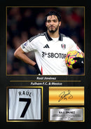 Raúl Jiménez Printed Signed Poster – Fulham FC & Mexico Midfielder Tribute Wall Art with Jersey & Bio Plaque – Premier League Football Memorabilia for Fans & Collectors