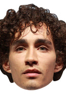 Robert Sheehan - Umbrella Academy Celebrity Face Mask Fancy Dress Cardboard Costume Mask