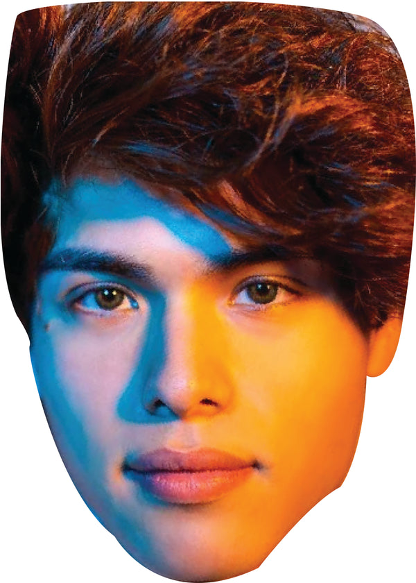 Stokes Twins 1 Face Mask – Fancy Dress Cardboard Costume Mask