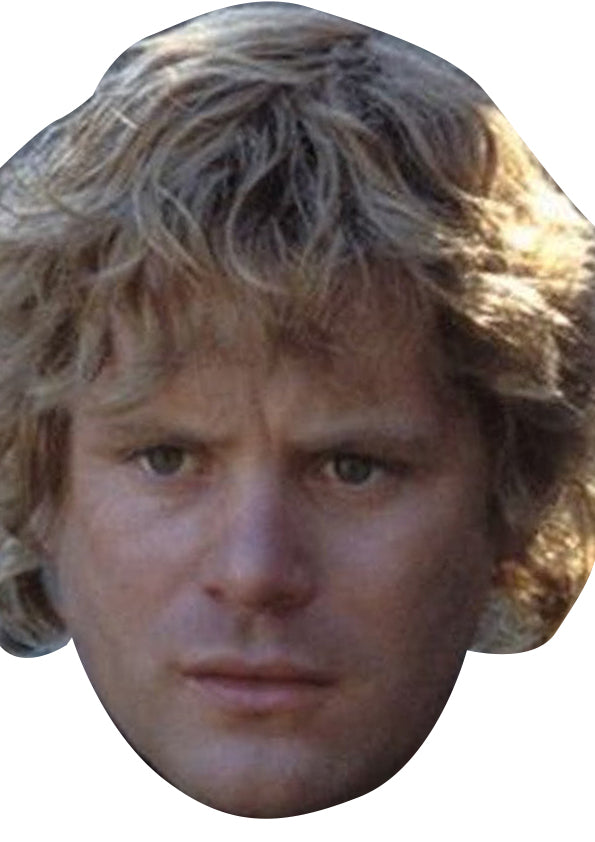 Samwise Gamgee Face Mask