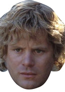 Samwise Gamgee - LOTR Celebrity Face Mask Fancy Dress Cardboard Costume Mask