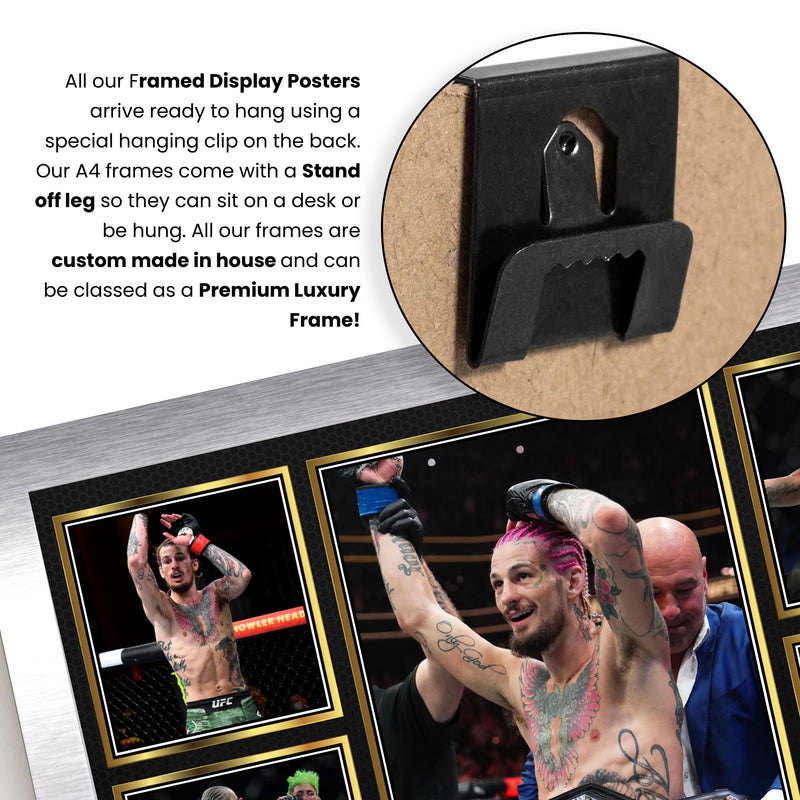 Sean O'Malley UFC FIighters Framed Autographed Print - Limited Edition Autograph Fan Gift – Collectible Memorabilia Merchandise