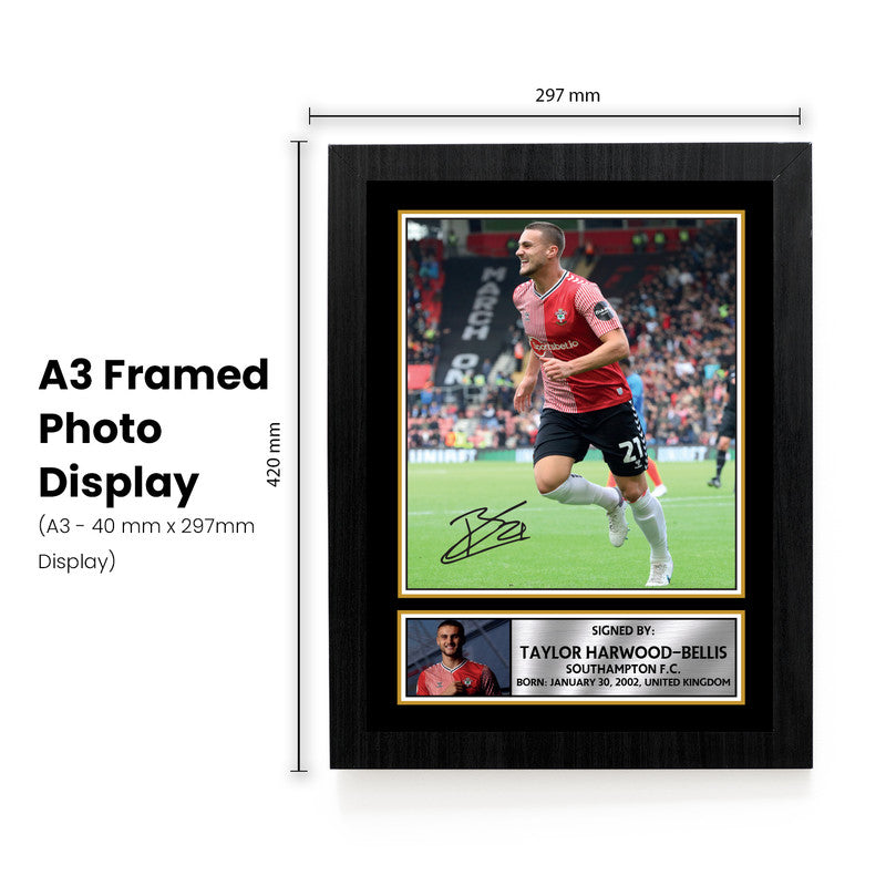 Taylor Harwood-Bellis Signed Autograph Poster Print – Southampton F.C. – England U21 Football – Gift for Fans & Collectors