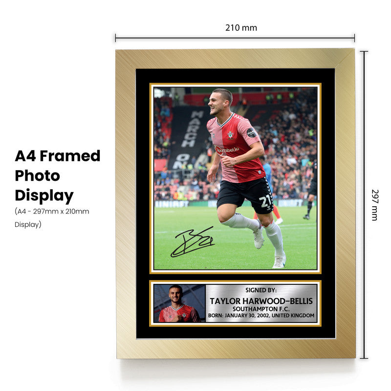 Taylor Harwood-Bellis Signed Autograph Poster Print – Southampton F.C. – England U21 Football – Gift for Fans & Collectors