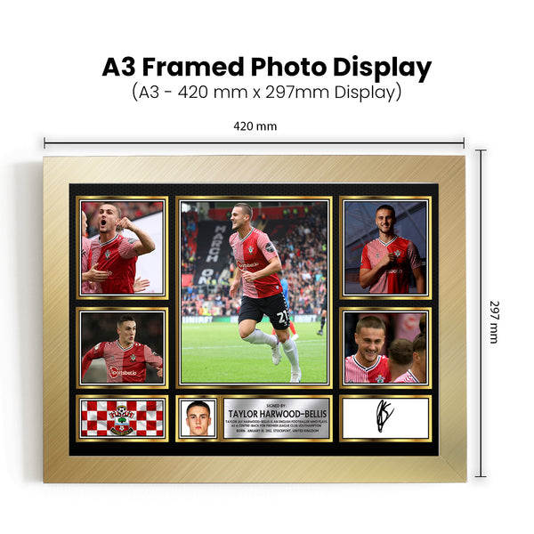 Taylor Harwood-Bellis Printed Signature Football Poster Print