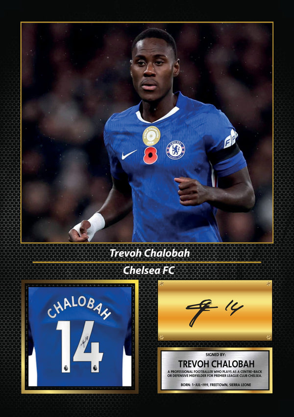 Trevoh Chalobah Printed Signature Poster – Chelsea FC Defender Tribute Wall Art with Jersey & Bio Plaque