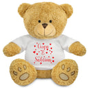 Valentines Day Personalised Teddy Design 6 Thoughtful Gift For Him/ Her - 22cm Teddy Bear Toy