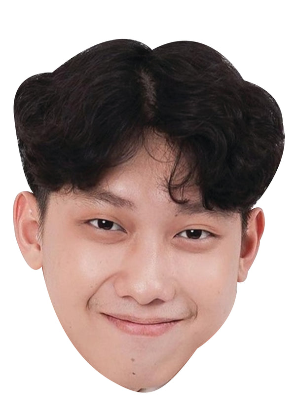 Willie Salim Face Mask – Fancy Dress Cardboard Costume Mask