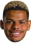 Will Osula Newcastle United Face Mask – Newcastle Football Player Celebrity Card Mask – Celebrity Mask for Stag Do, Hen Night, Fancy Dress & Costume Parties – Funny Adult Card Mask