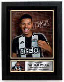 William Osula Signed Autograph Poster Print – Newcastle United F.C. – Football Memorabilia Gift – Gift for Fans & Collectors