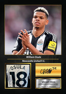 William Osula Printed Signed Poster – Newcastle United FC Striker Tribute Wall Art with Jersey & Bio Plaque – Premier League Football Memorabilia for Fans & Collectors