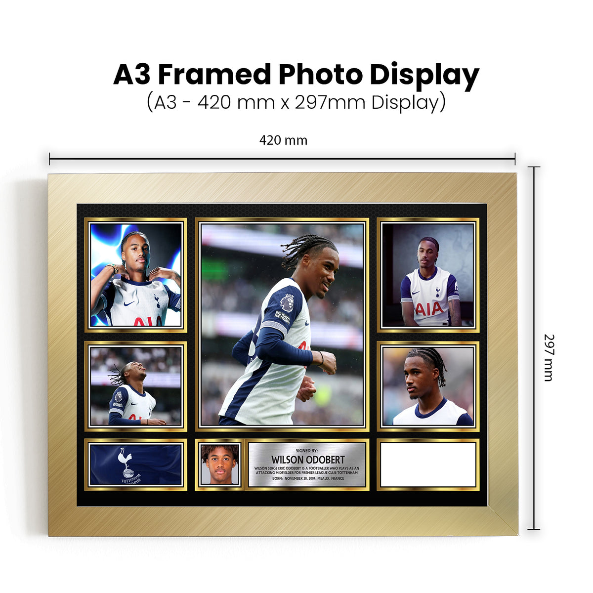 Wilson Odobert Printed Signature Football Poster Print