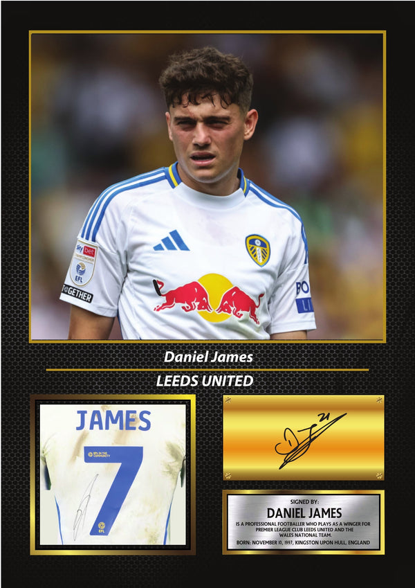 Daniel James Leeds United Poster Print