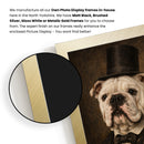 Personalised Lincoln pet portrait mockup, Version 2 – a dog or cat as Abraham Lincoln