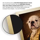 Personalised Washington pet portrait mockup, Version 2 – a dog or cat as George Washington