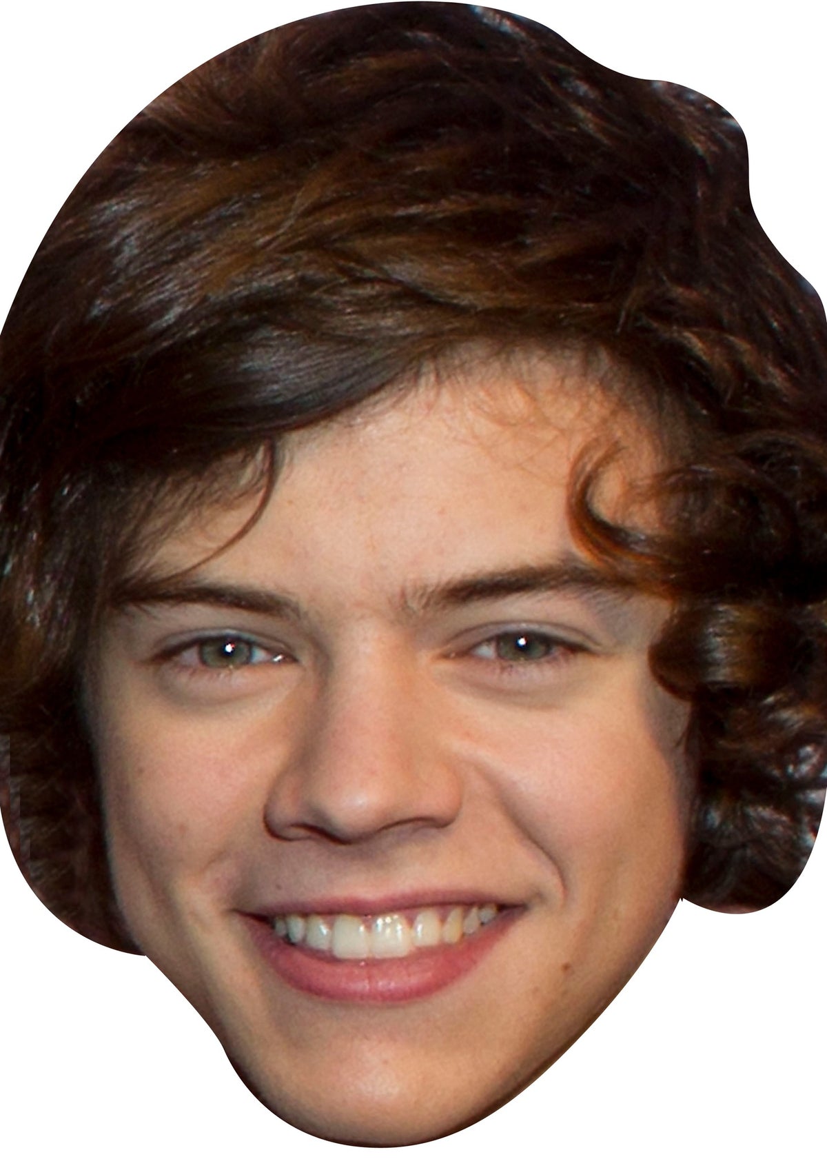 Harry Styles 1 Face Mask – Fancy Dress Cardboard Costume Mask – Harry Styles 1 face mask