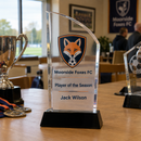 Acrylic club award trophy at a club presentation night