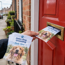 Printed flyers and leaflets being posted through a letterbox