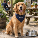 Dog in a personalised dog bandana at a pub garden