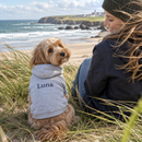 Dog wearing a personalised dog hoodie on the beach