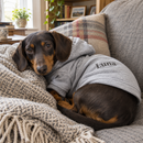Dog in a personalised dog hoodie on a sofa