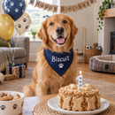 Dog wearing a personalised dog bandana at a birthday party