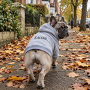 Dog wearing a personalised dog hoodie on an autumn walk
