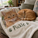 Cat asleep on a personalised pet blanket on the sofa