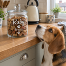 Dog looking up at a personalised pet treat jar on the kitchen worktop
